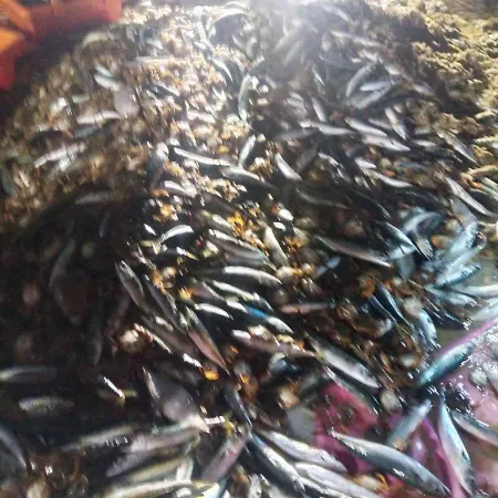 Fonte Da Telha Cliff House *