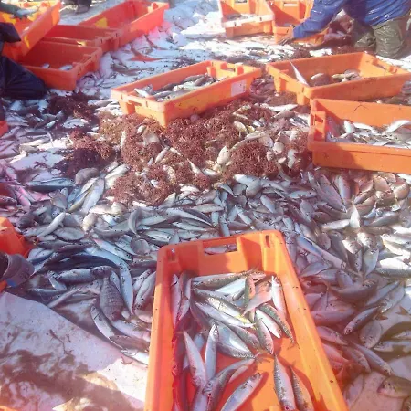 Penzion Fonte Da Telha Cliff House