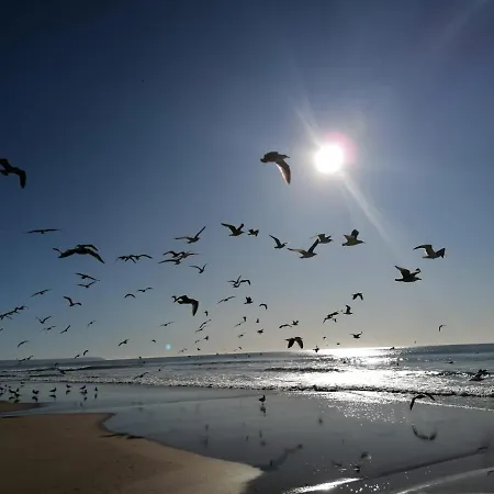 Guest house Fonte Da Telha Cliff House