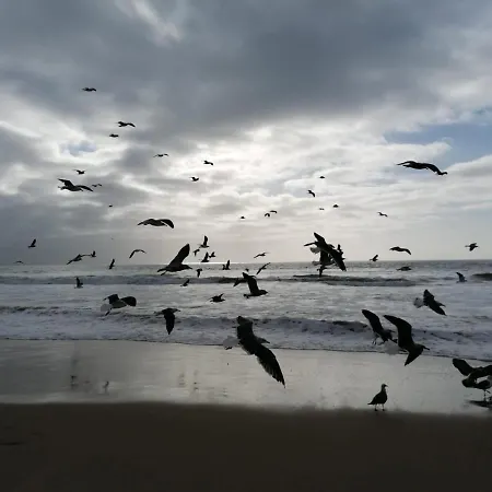 Guest house Fonte Da Telha Cliff House Aroeira (Setubal)