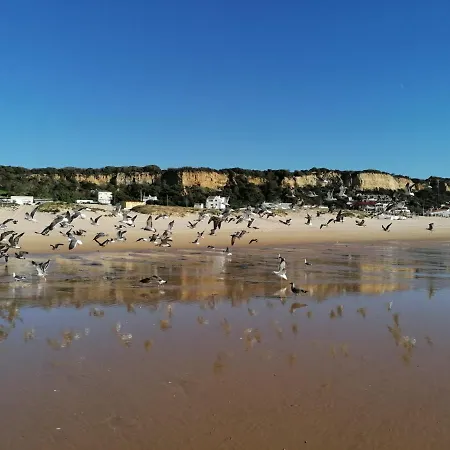 Guest house Fonte Da Telha Cliff House *