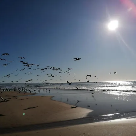 Fonte Da Telha Cliff House Guest house Aroeira (Setubal)