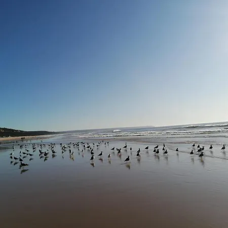 Fonte Da Telha Cliff House *