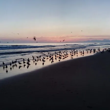 Guest house Fonte Da Telha Cliff House *