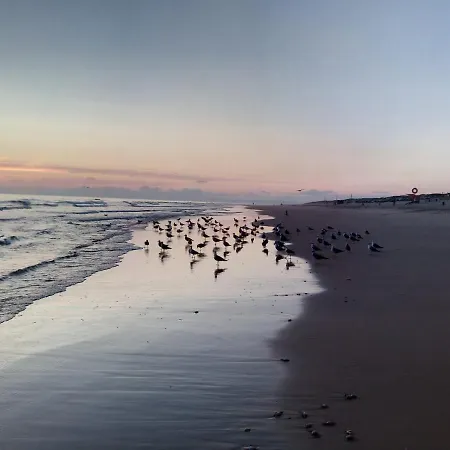 Fonte Da Telha Cliff House *