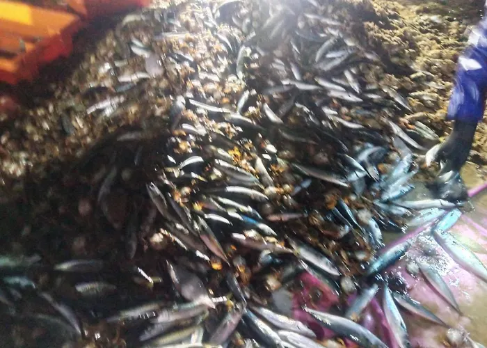 Fonte Da Telha Cliff House *