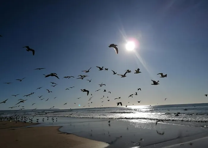 Gasthof Fonte Da Telha Cliff House