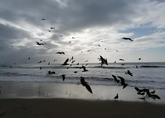Gasthof Fonte Da Telha Cliff House Aroeira (Setubal)