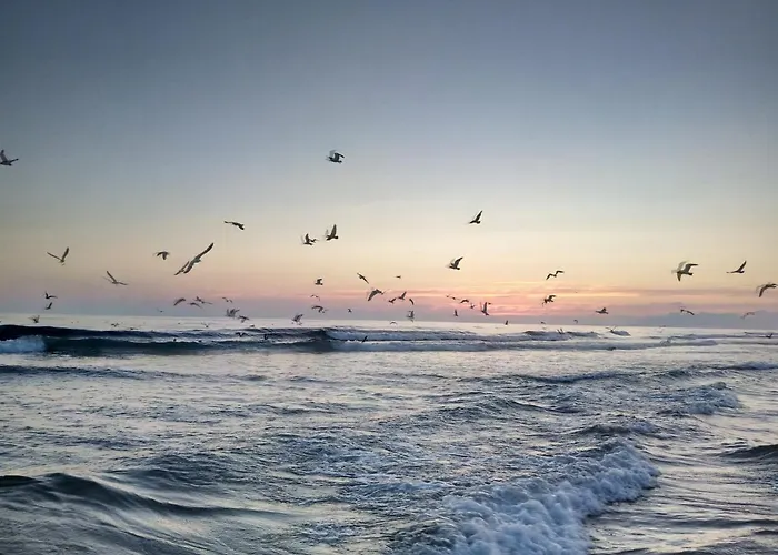 Gasthof Fonte Da Telha Cliff House *