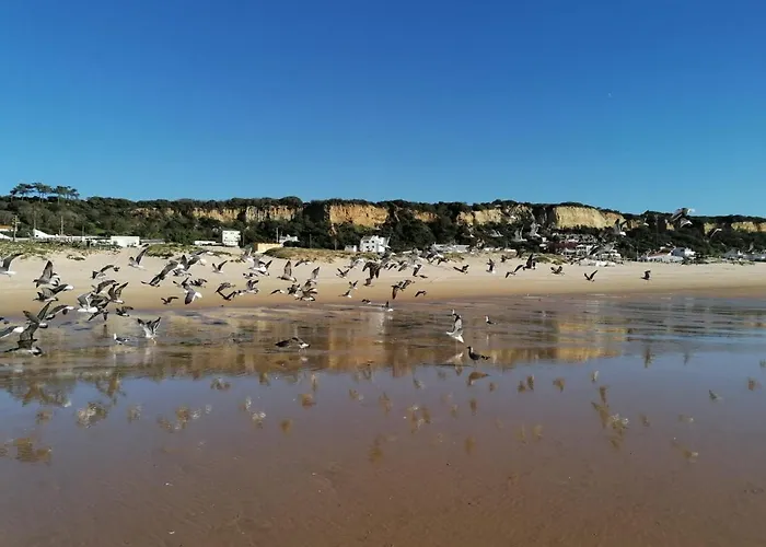 Gasthof Fonte Da Telha Cliff House *
