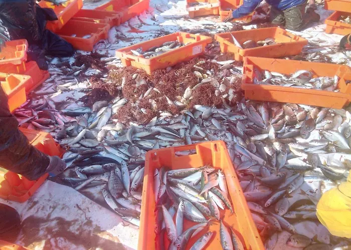 Gasthof Fonte Da Telha Cliff House