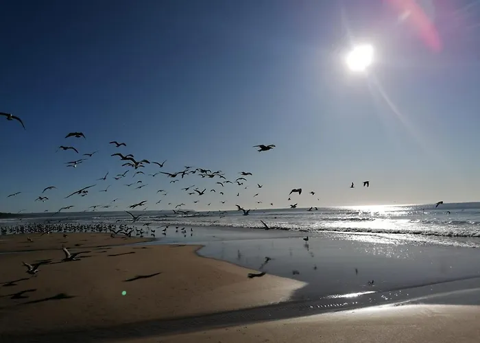 Fonte Da Telha Cliff House Gasthof Aroeira (Setubal)