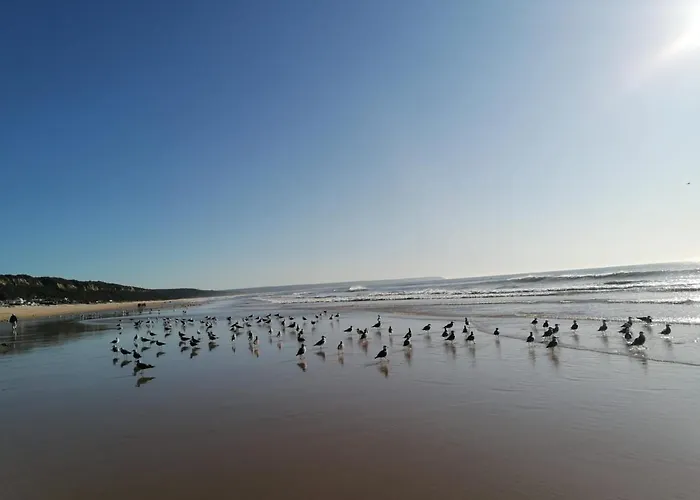 Fonte Da Telha Cliff House *