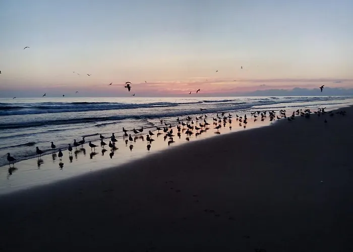 Gasthof Fonte Da Telha Cliff House *