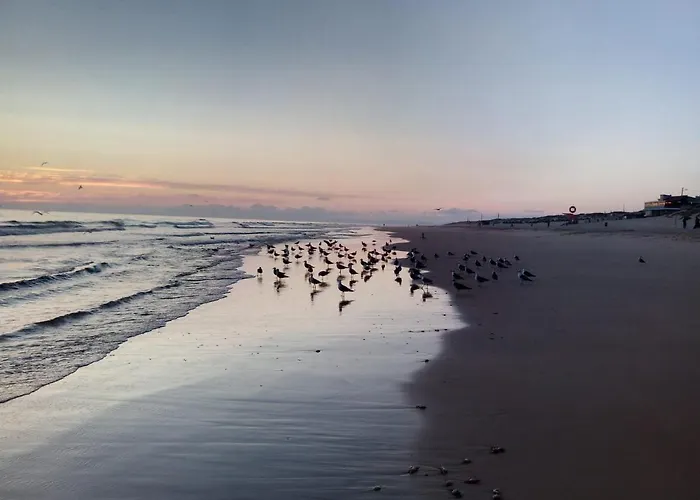 Fonte Da Telha Cliff House *